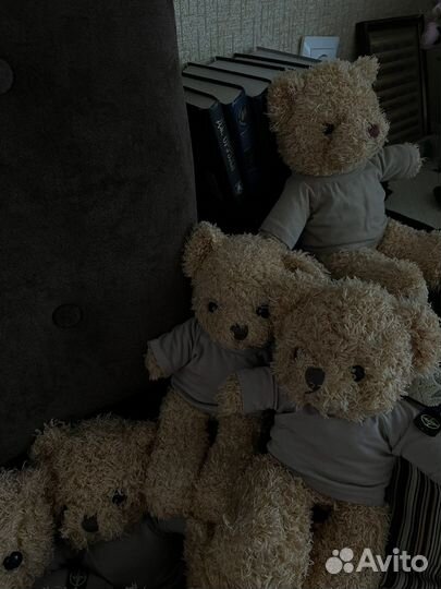 Медведь stone island мишка