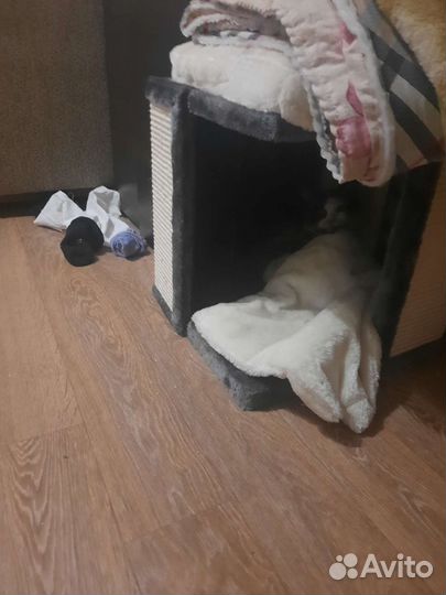 Домик для кошки