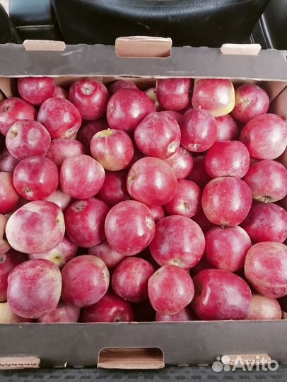 Яблоки Либерти