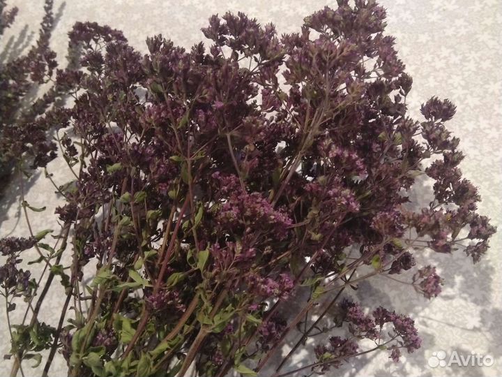 Травы сушеные чабрец, душица, шалфей