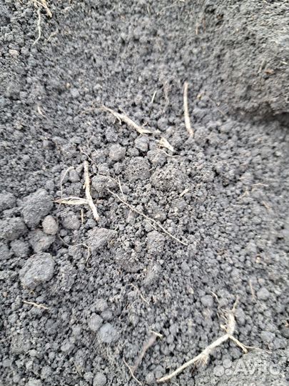 Земля серая (верхний слой)