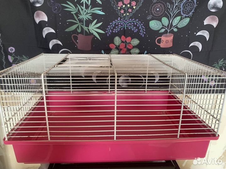 Клетки для грызунов