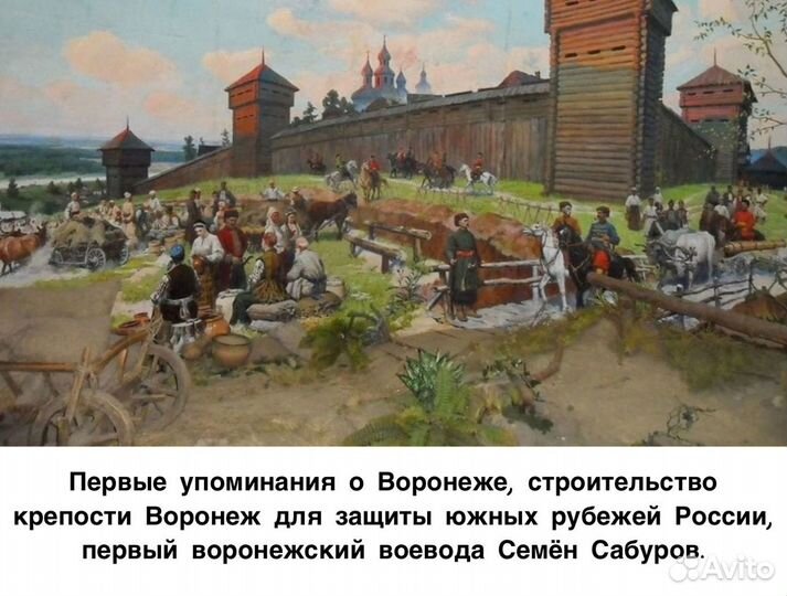 Экскурсии по Воронежу