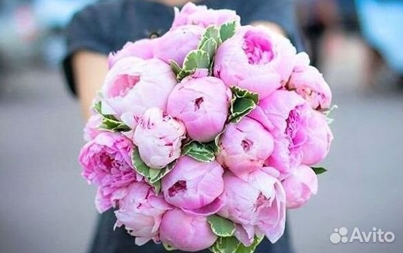 Пионы Цветы Доставка