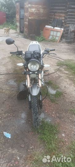 Продам или обменяю ирбис вр 1