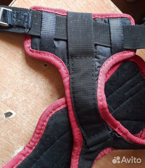 Шлейка для собаки