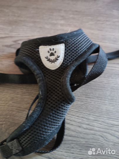 Шлейка с поводком