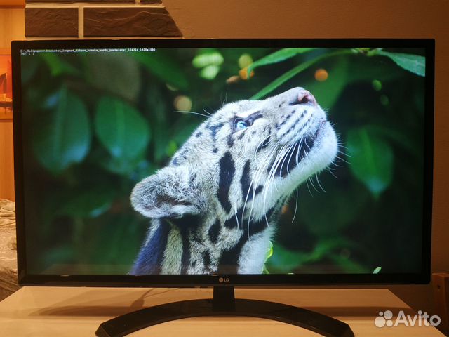 Монитор LG 32 дюйма IPS матрица купить в Краснодаре | Электроника | Авито