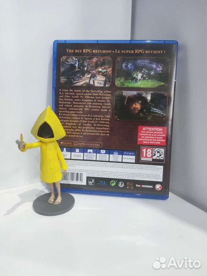 Kingdoms of amalur Re-Reckoning ps4