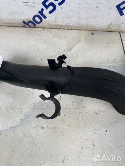 Патрубок радиатора верхний Ford Focus 3 CB8 1.6