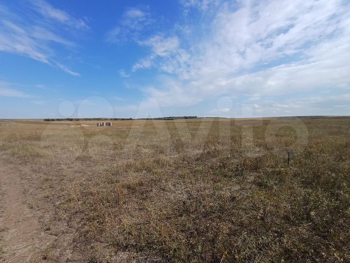 Участок 8 сот. (ИЖС)