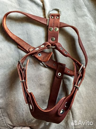 Шлейка кожа Аркон 70-87 см, намордник силикон 31см