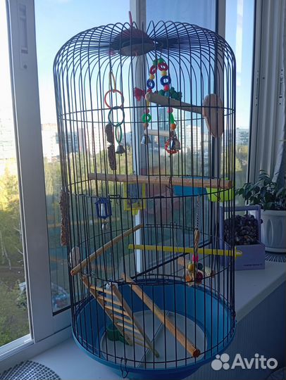 Клетка для попугая бу