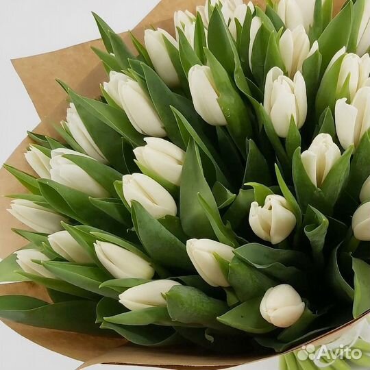 Тюльпаны на 8 марта все цвета