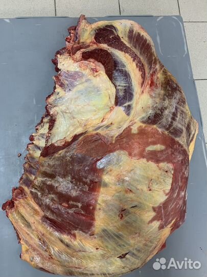 Говядина мясо (на кости ) лопатка, ребро, шея