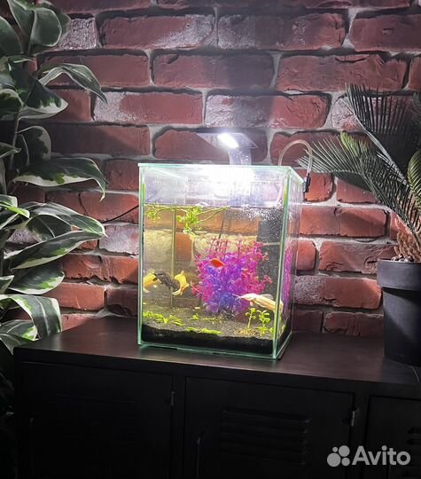 Аквариум нанокуб aquael 15 литров с аксессуарами