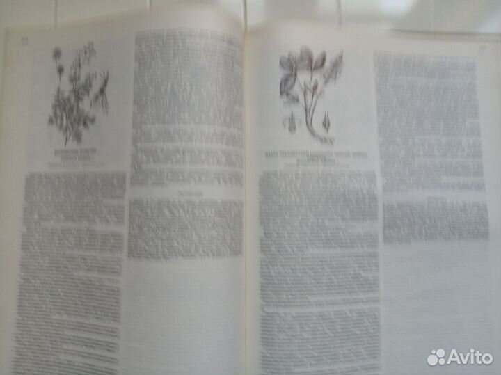 Атлас лекарственных растений СССР и их ареал