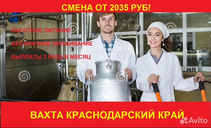 Вахта молокозавод в ст Выселки Разнорабочие