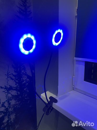 Фитолампа для растений