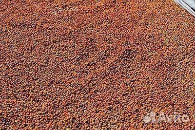 Керамзит от 1-60 тонн