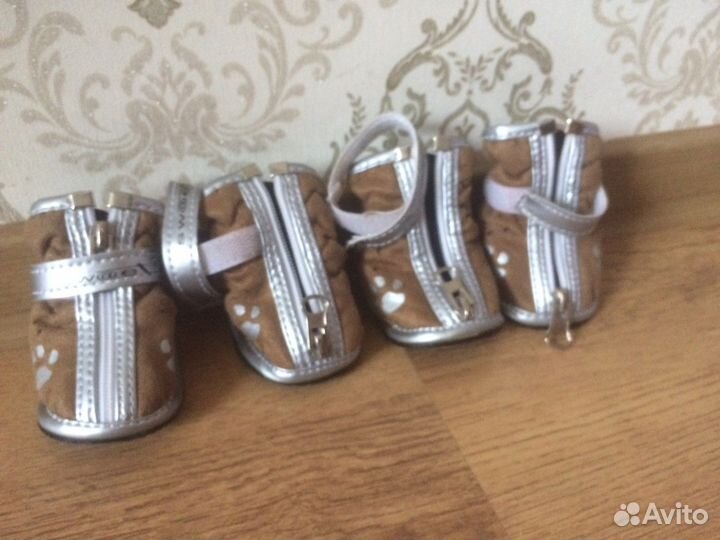 Обувь для собак