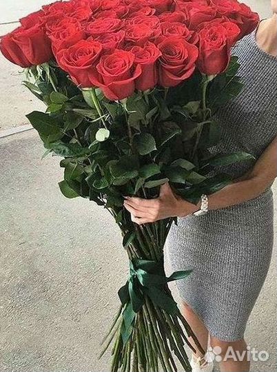 Высокие розы