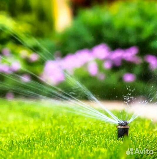 Рулонный газон