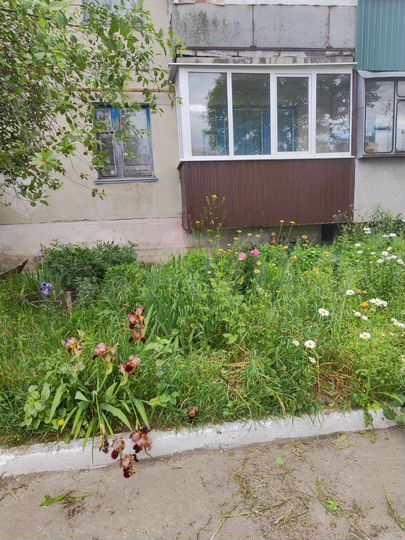 2-к. квартира, 52,5 м², 1/2 эт.