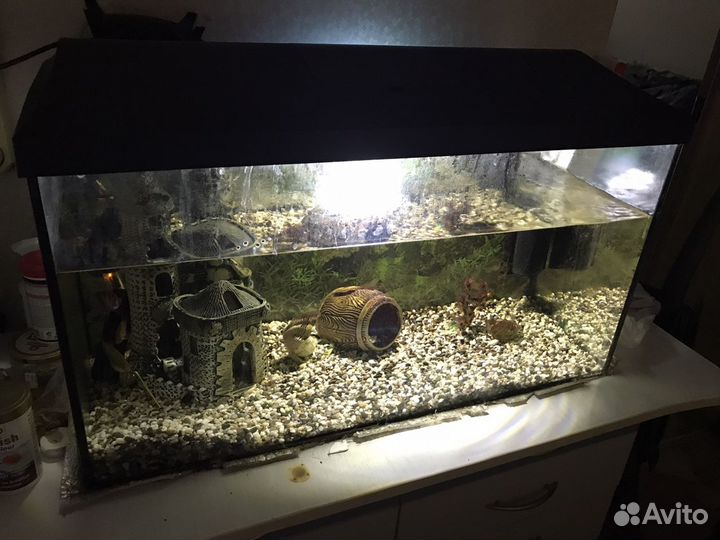 Аквариум