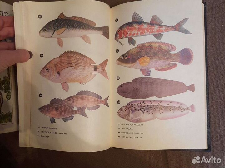 Книги о рыбалке и водоемах