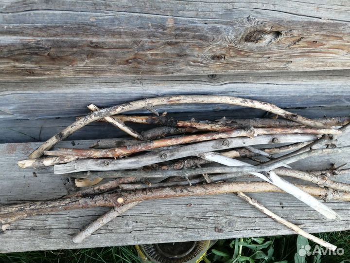 Природный материал для творчества