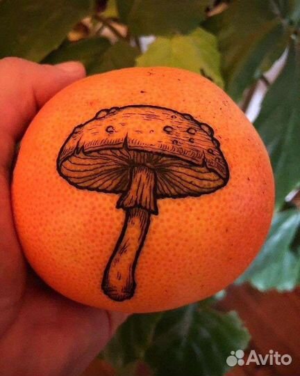 Обучение татуировке