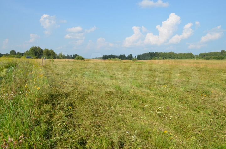 Участок 25 сот. (ИЖС)