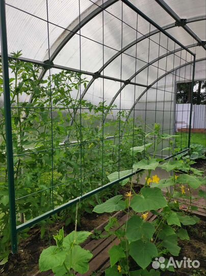 Металлическая решётка для огурцов