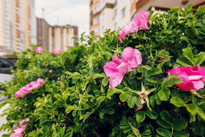 2-к. квартира, 62,1 м², 24/24 эт.