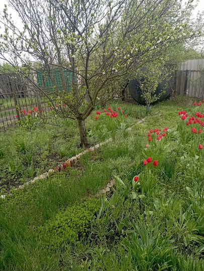 Дача 30 м² на участке 7 сот.