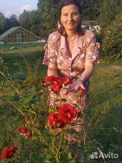 Автоняня, няня, репетитор, персональный водитель