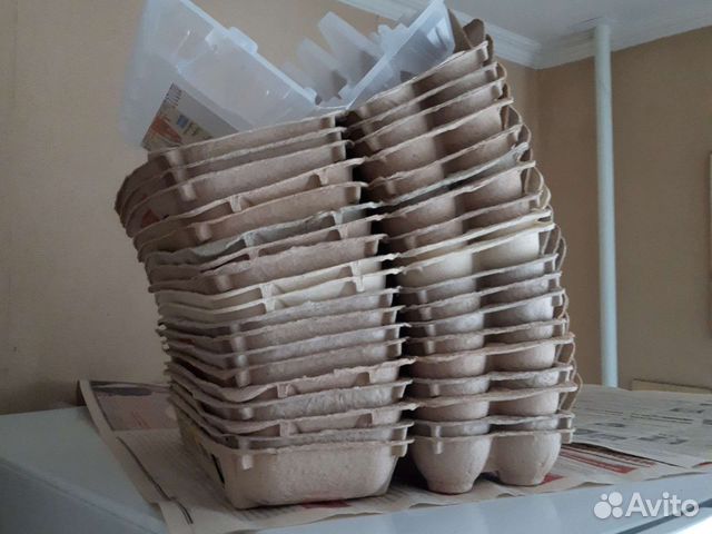 Лотки для яиц