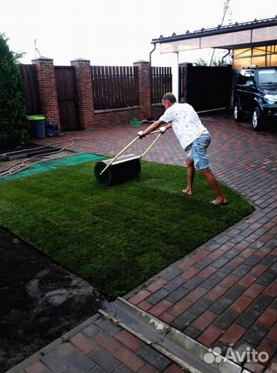 Рулонный газон 