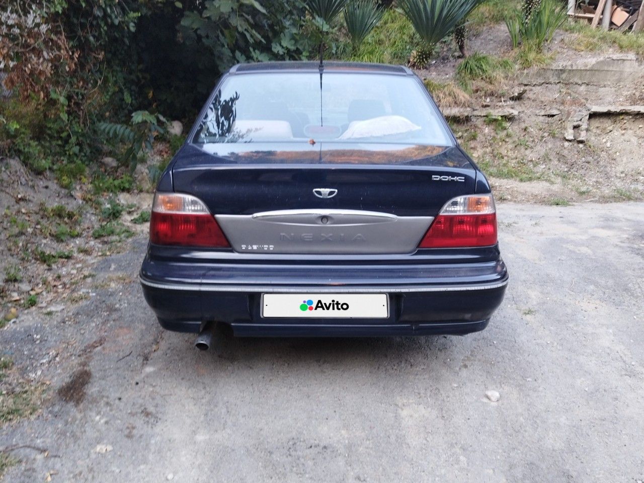 Daewoo Nexia: фото владельца