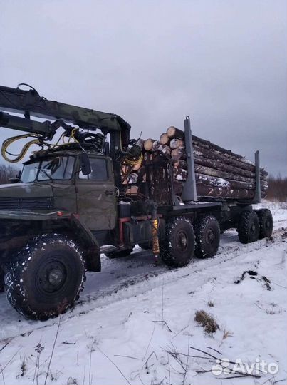 Дрова. Хлыстами,6метров. Лесовоз
