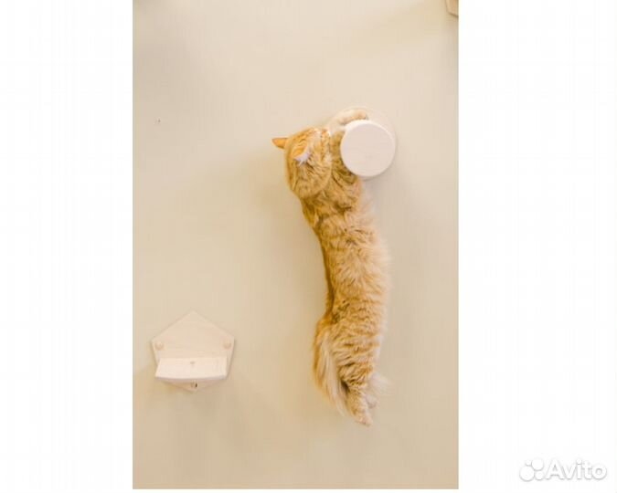 Игровой настенный комплекс для кошки