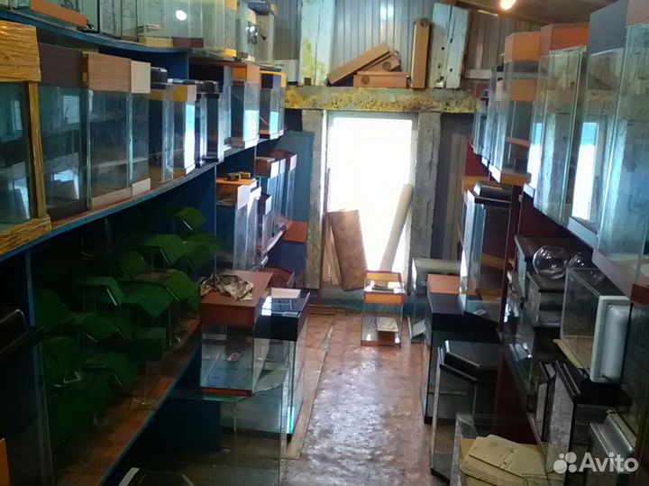 Разноцветные камушки