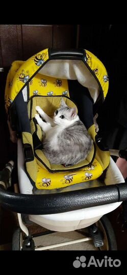 Автолюлька от 0