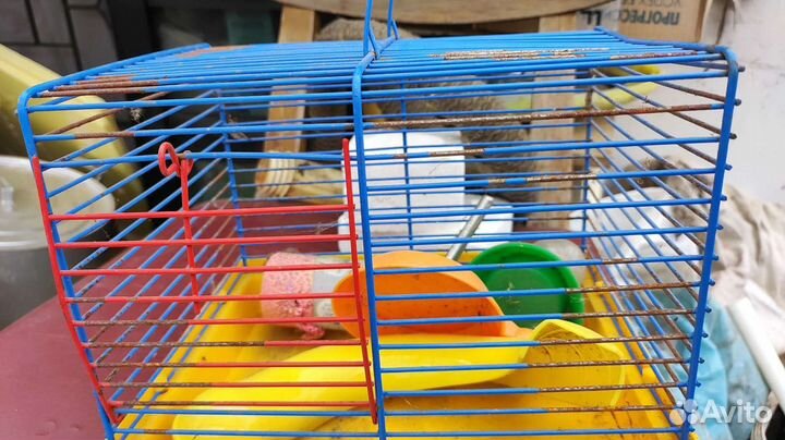 Клетка для птиц, хомячков и др в профиле