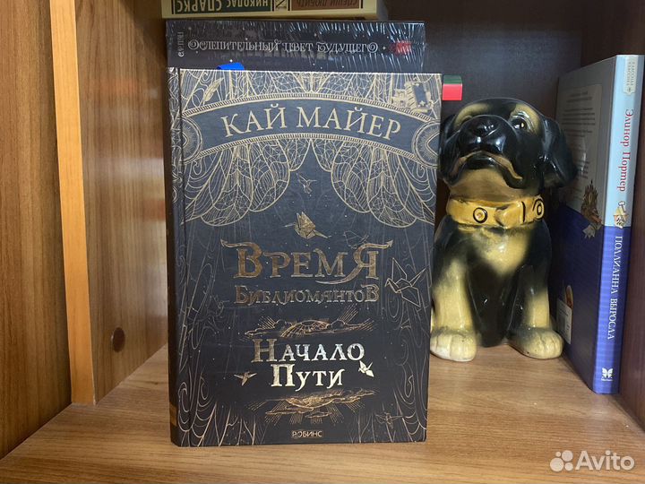 Книга Время библиомантов