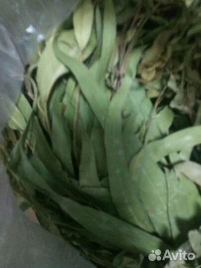 Листья эвкалипта сушёные