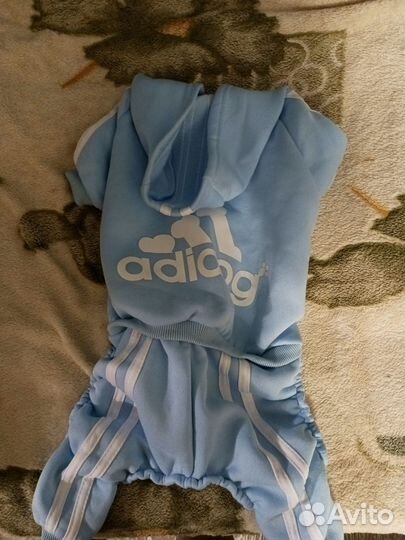 Костюм для собак