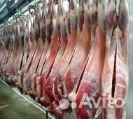 Мясо баранина