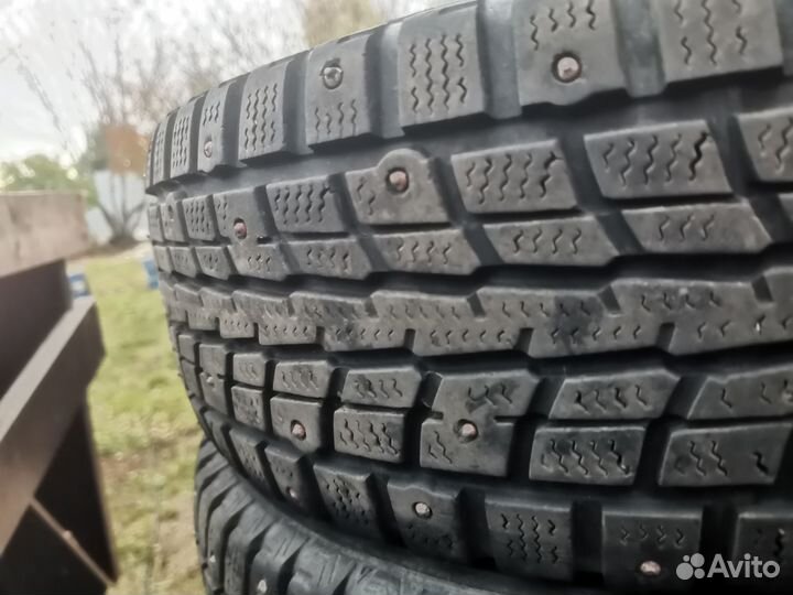 Dunlop Winter Maxx WM01 185/70 R14